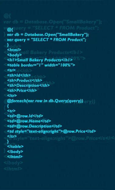 Certificazione .Net Coding Specialist (DNCS)