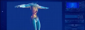 Certificazione ICDL Health Specialised