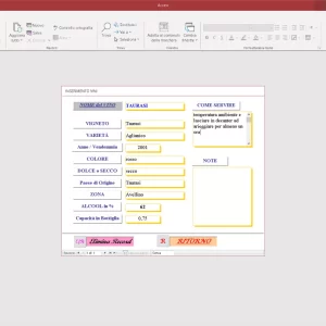 Corso VBA Access