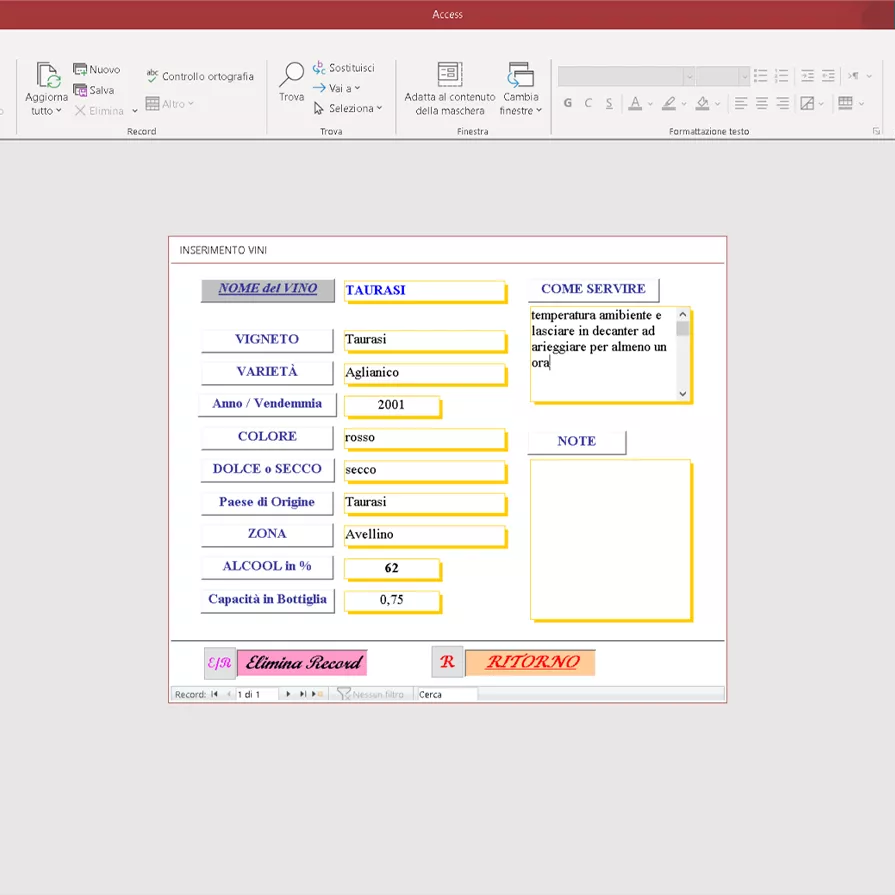 Corso VBA Access
