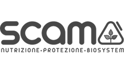 Scam S.p.a