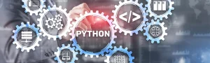cosa si può fare con python
